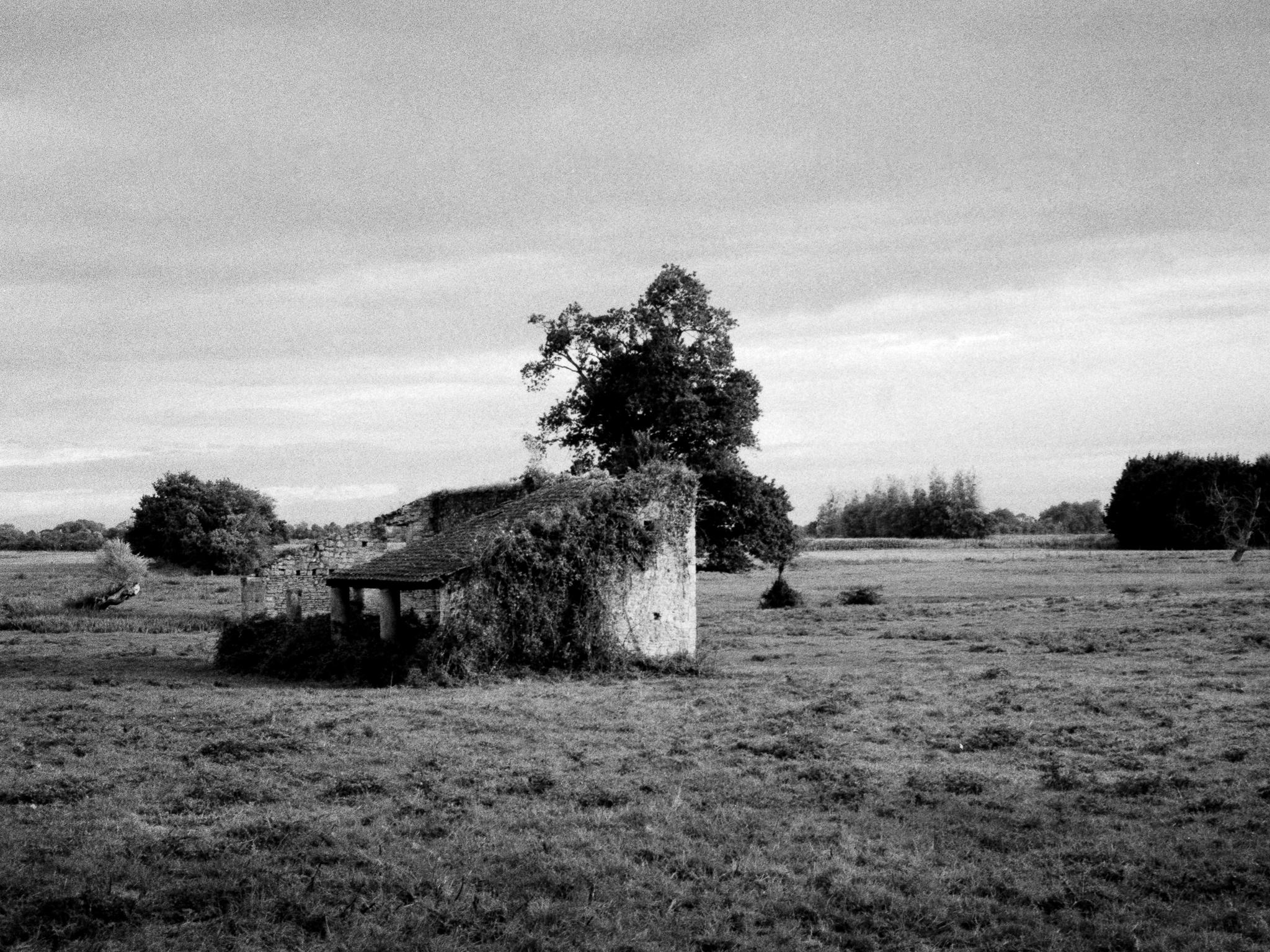 Ruins on a rainy day