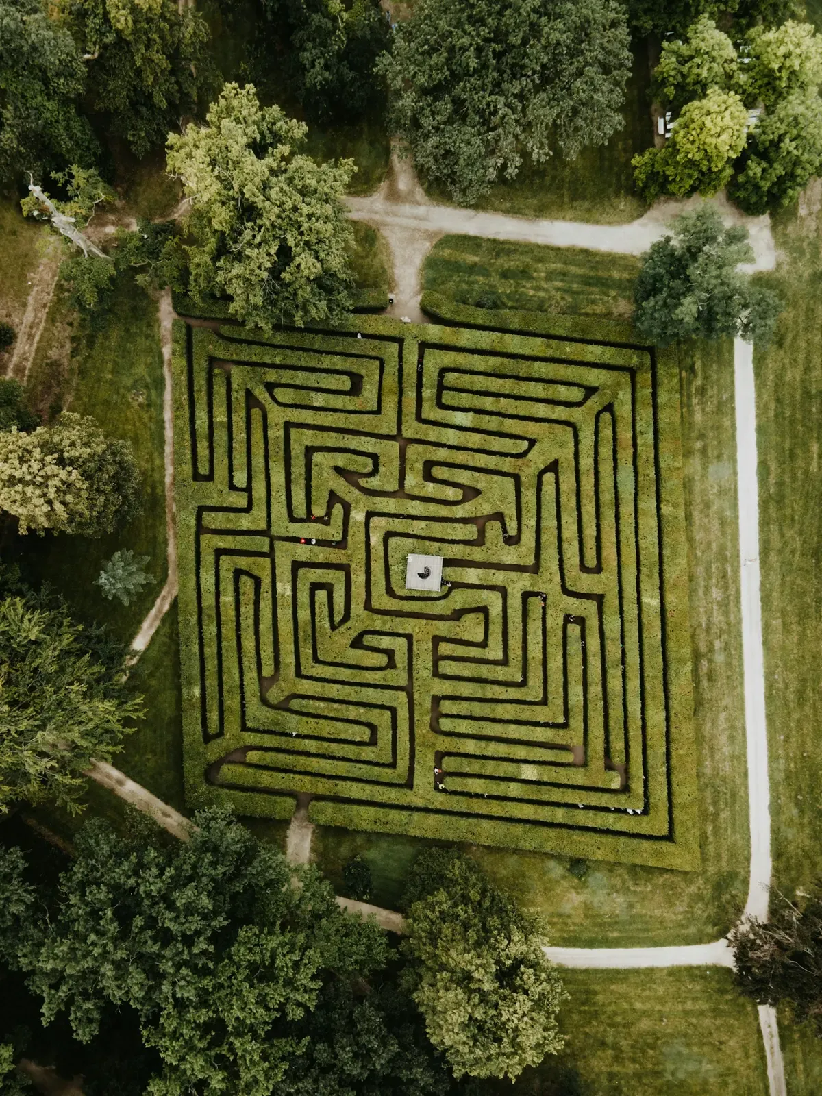 Aerial view of a hedge maze (photo by Marina Reich on Unsplash)