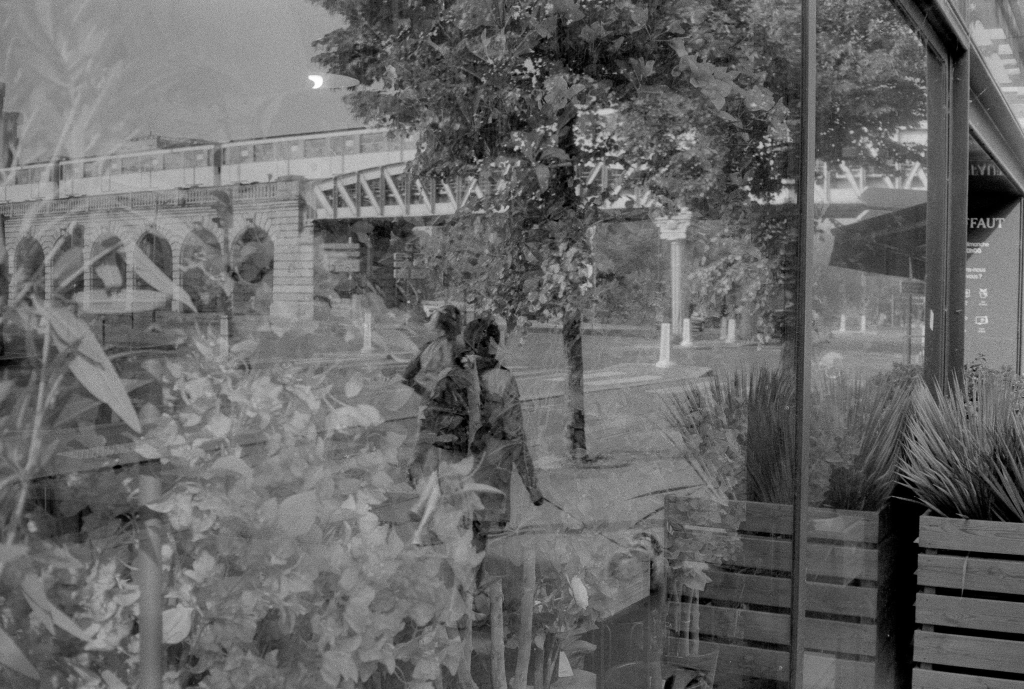 Flowers in a florist window overlaid with the reflection of a woman walking near an elevated metro bridge