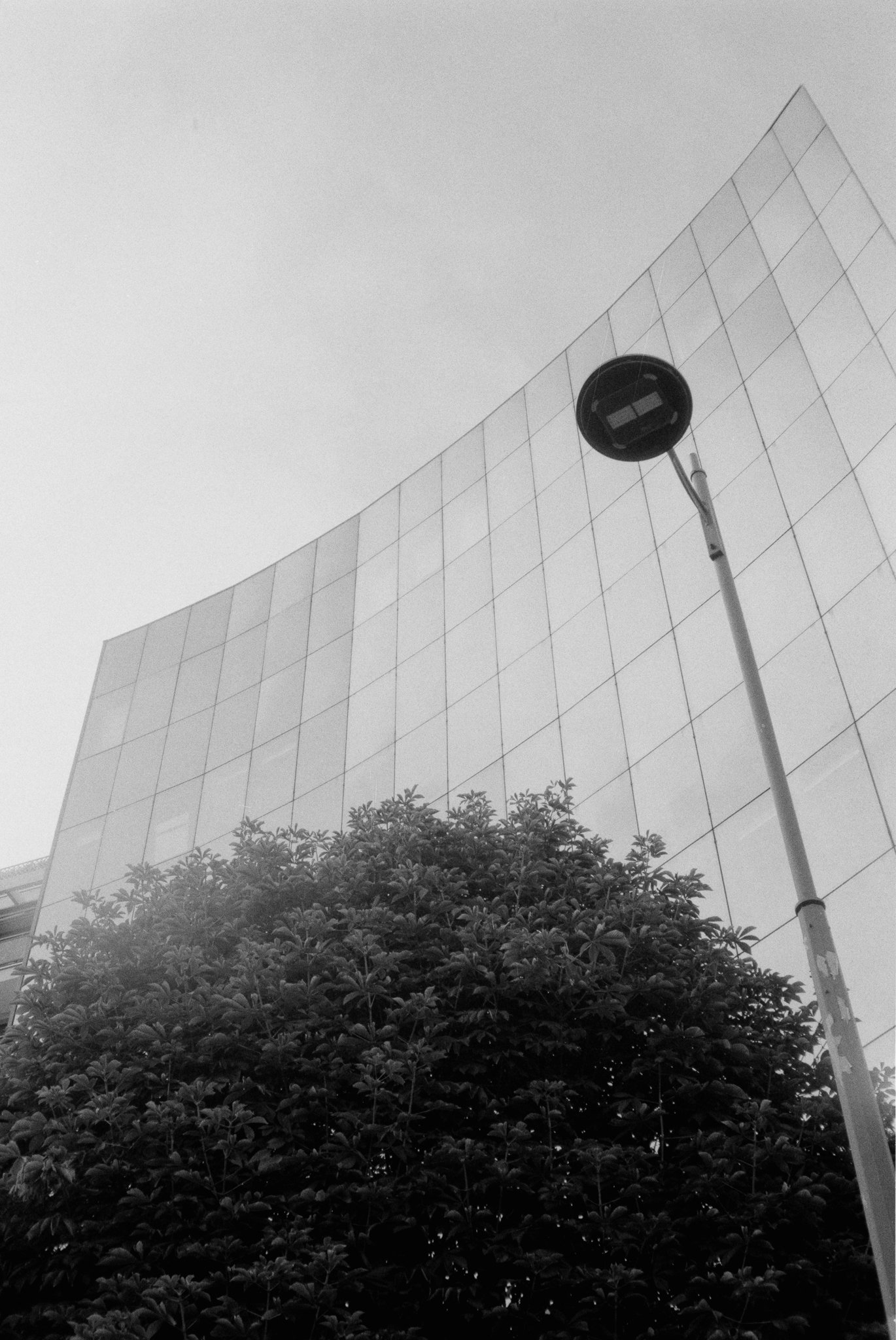 A curved glass grid facade rising behind a leafy tree and the back of a round street sign