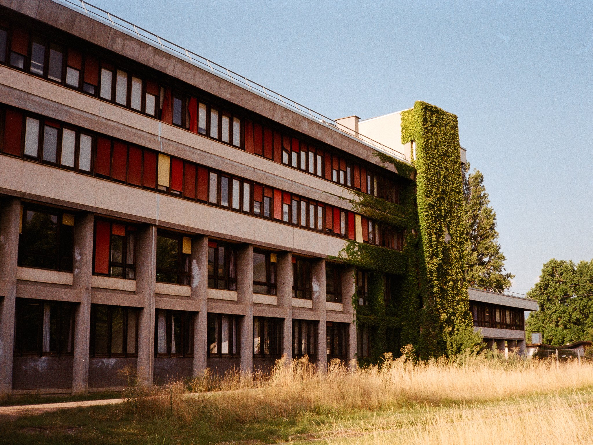 Colored brutalist