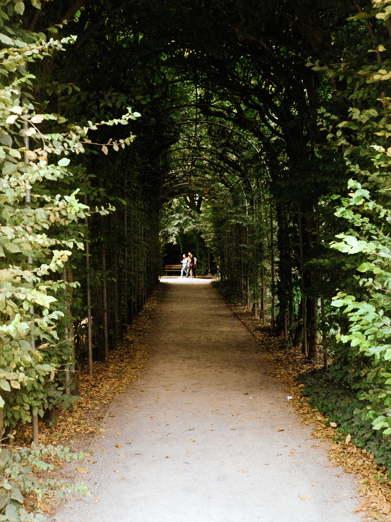 A long arched tunnel of green foliage over a gravel path, with people at the far exit