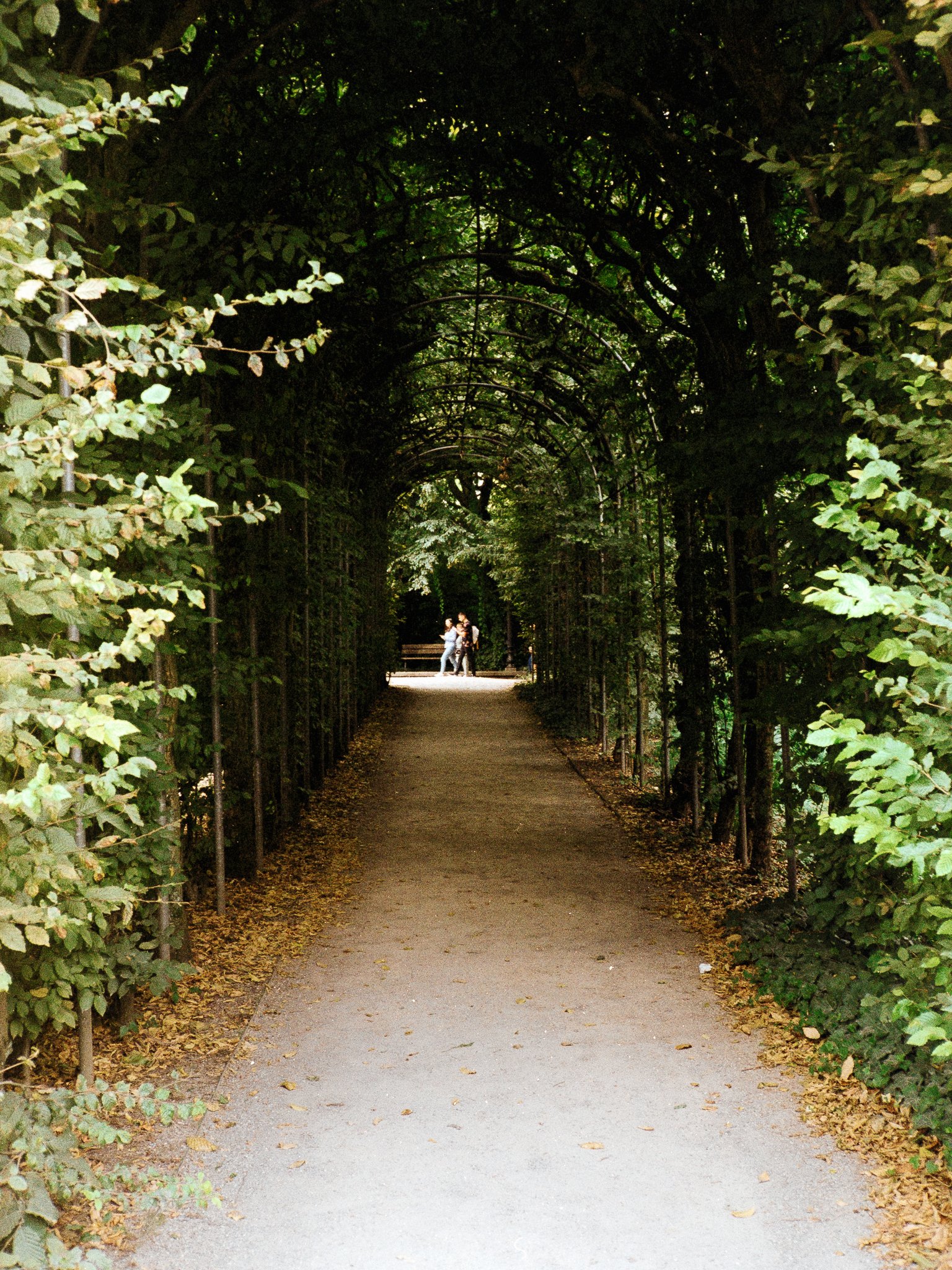 A long arched tunnel of green foliage over a gravel path, with people at the far exit