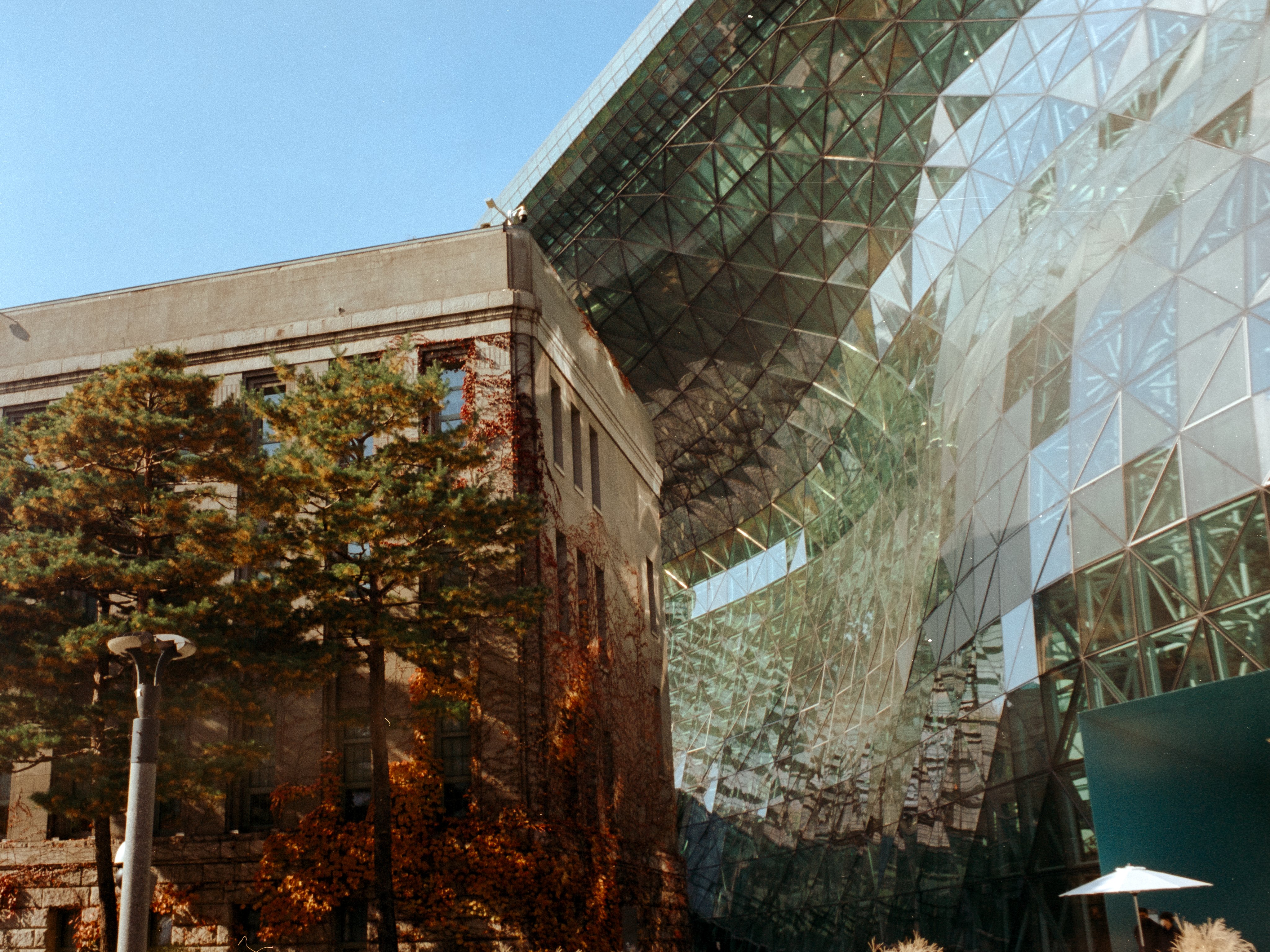Architectural wave
