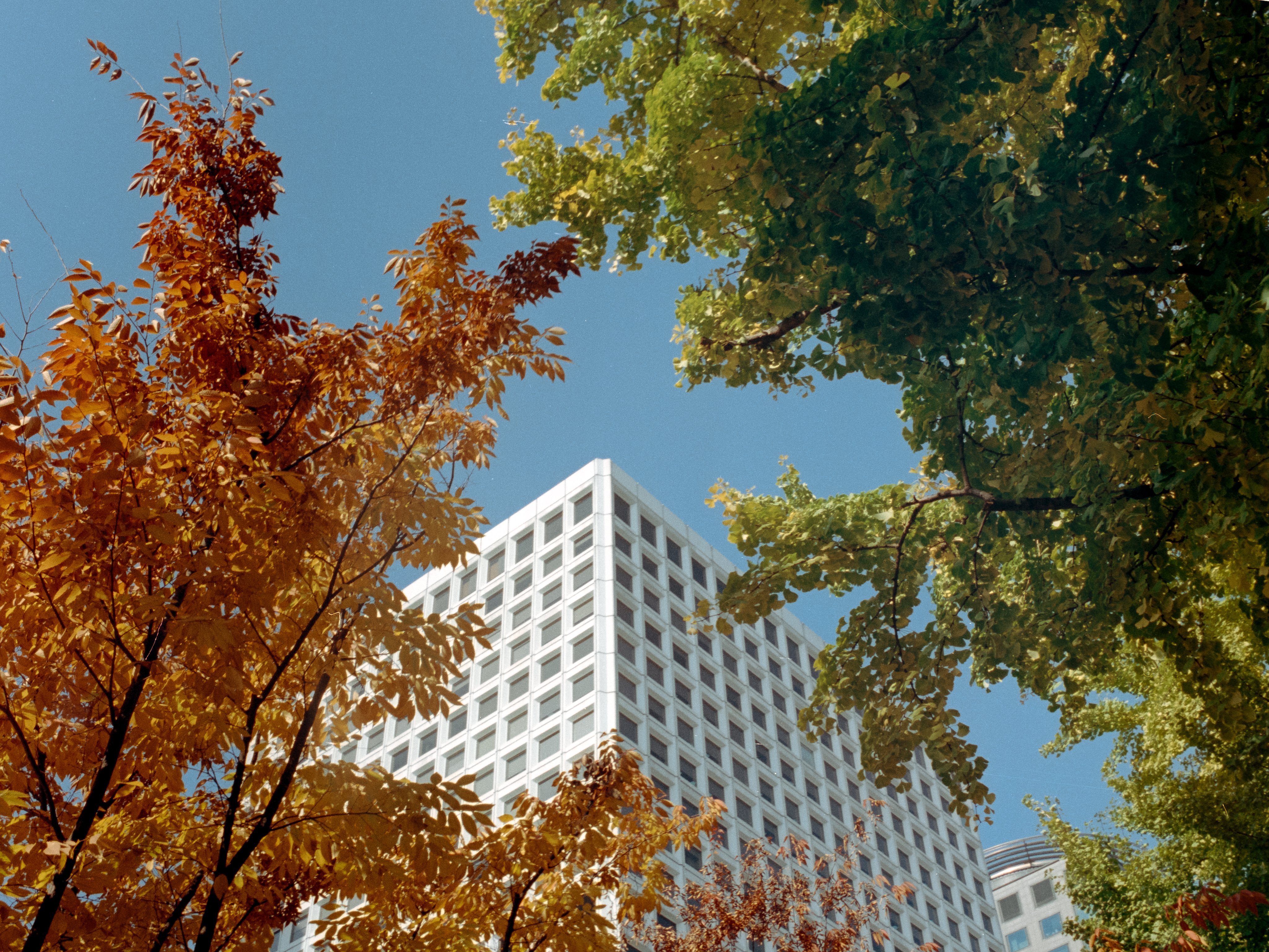 Autumnal skyline