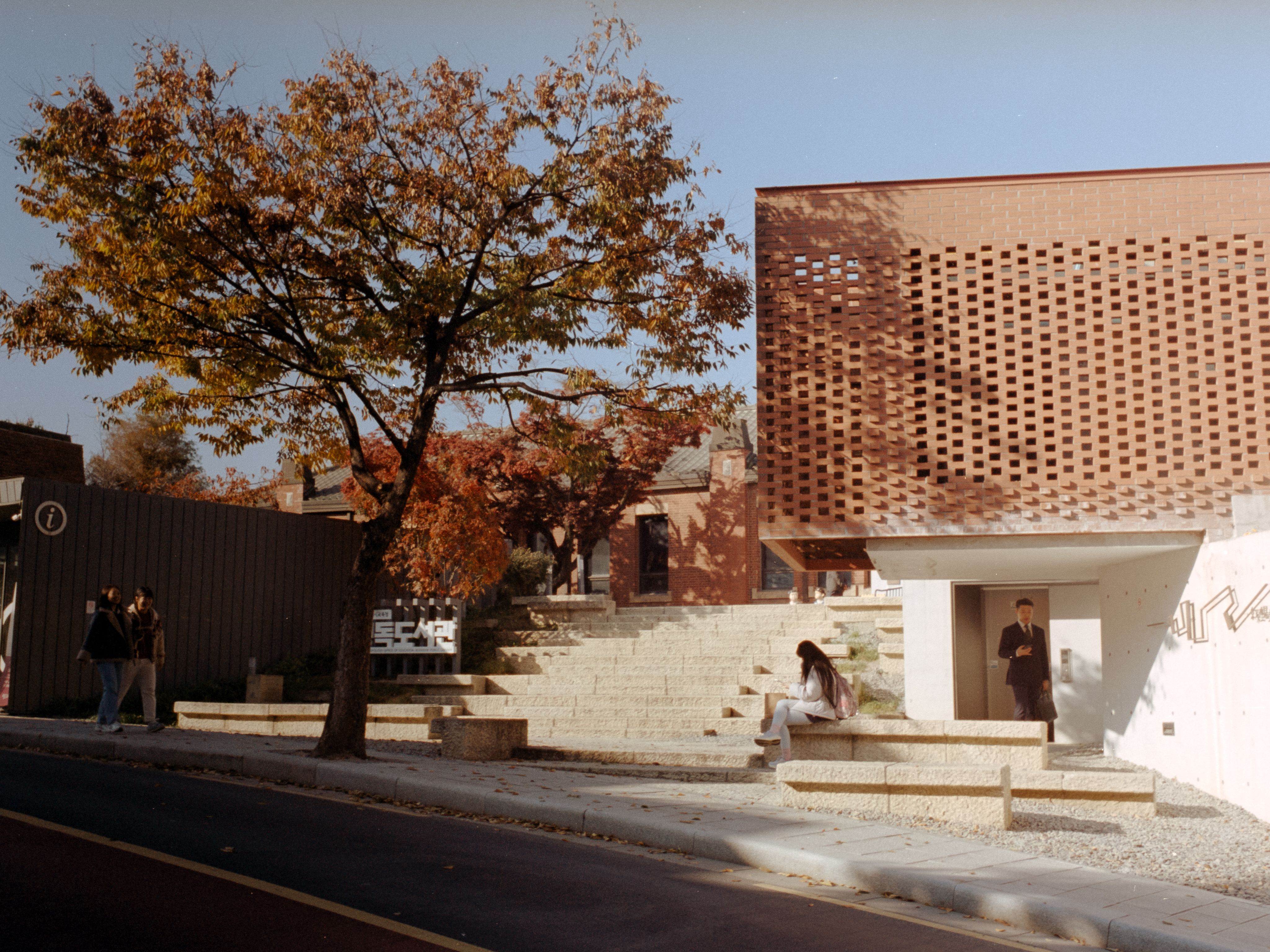 A woman sitting alone on stone amphitheater steps beneath an autumn tree