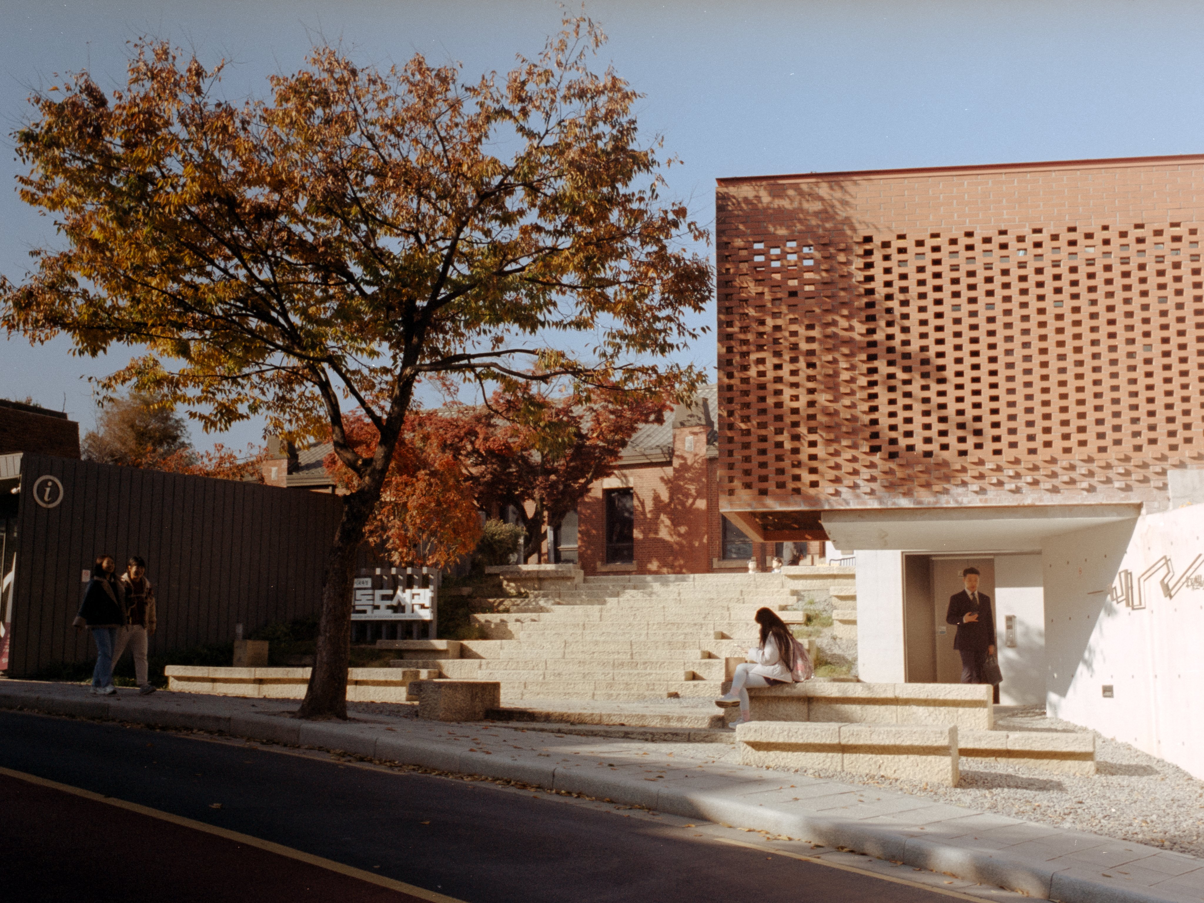 A woman sitting alone on stone amphitheater steps beneath an autumn tree
