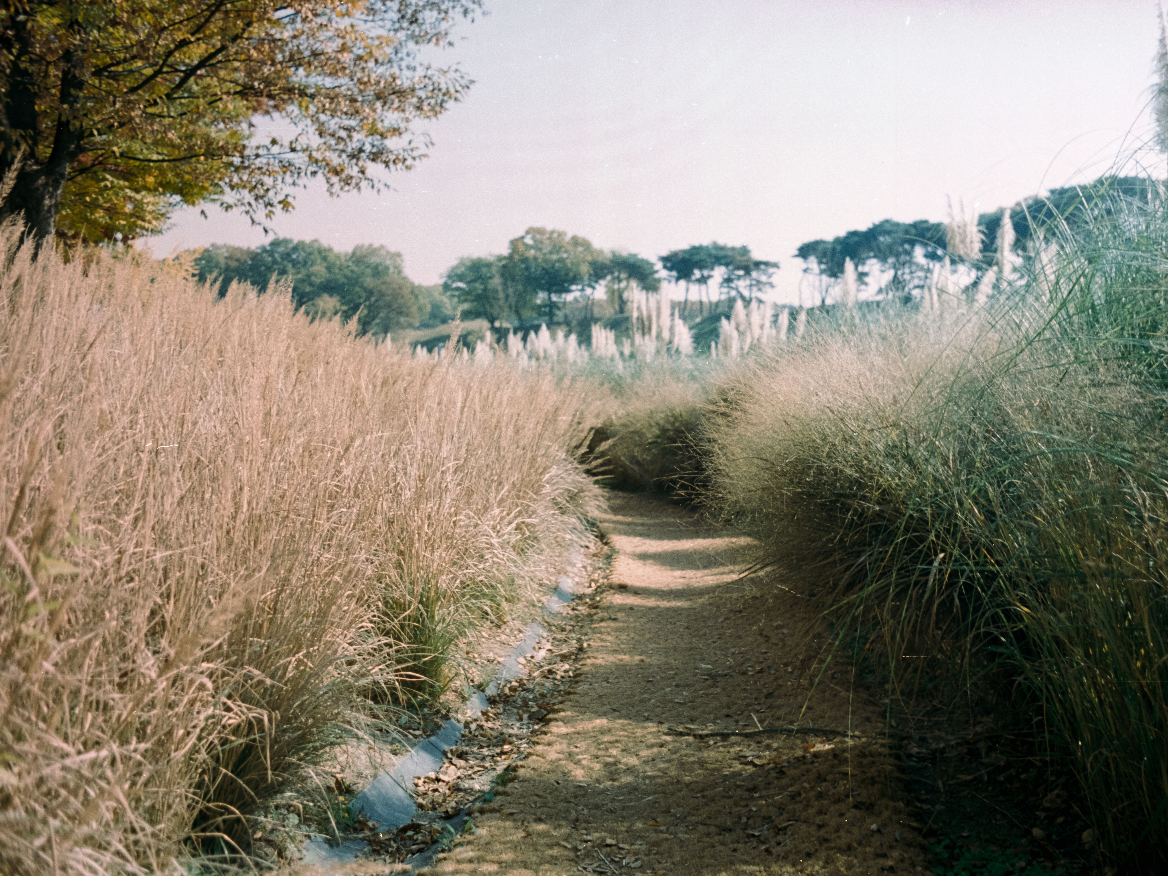 Path to nowhere