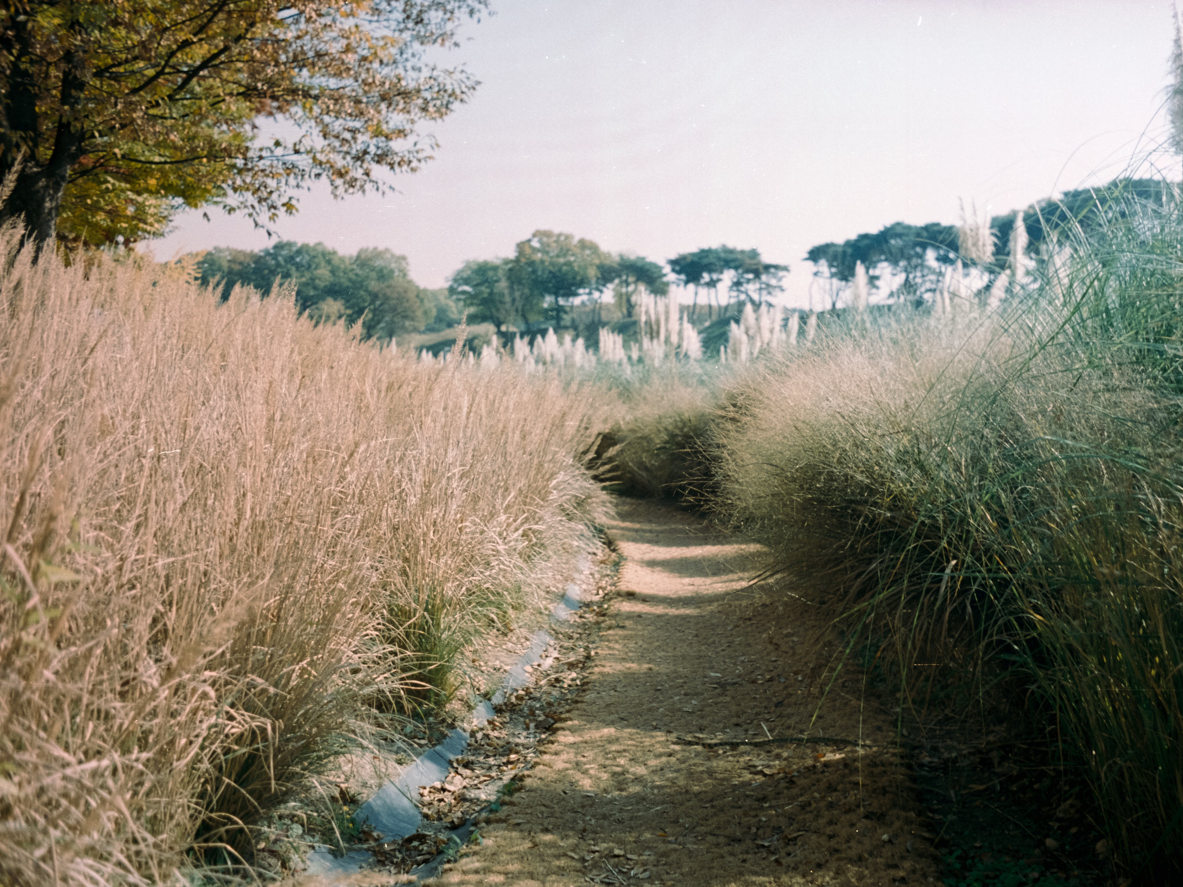Path to nowhere