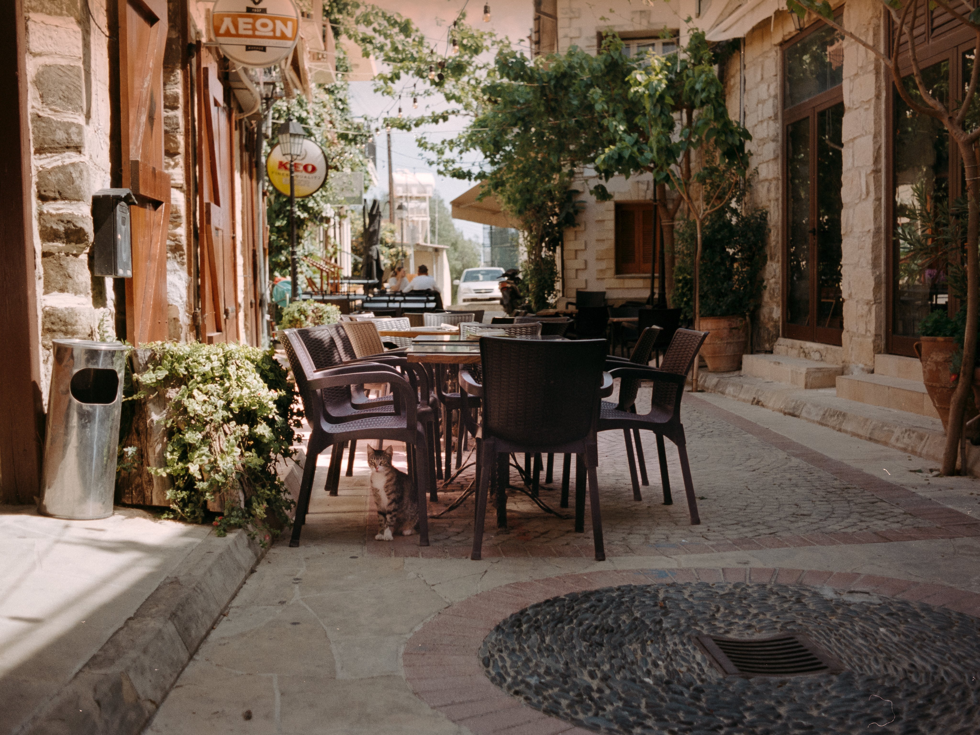 A tabby cat sitting beneath stacked terrace chairs in a stone taverna alley